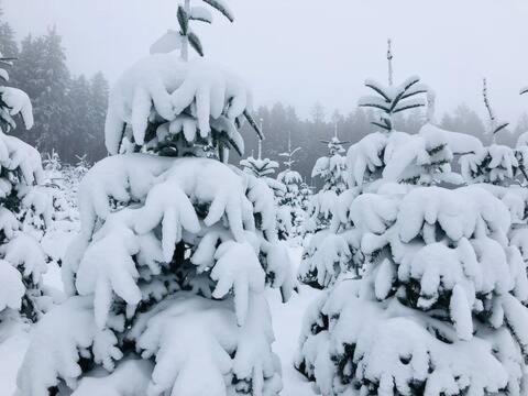 Haus Astenblick In Winterberg Fuer Bis Zu 35 Personen Fuer Wanderveranstaltungen Und Familienfeiern Eksteriør bilde